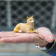 Image for article titled Inside Shapeways, the 3D-Printing Factory of the Future